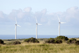 ϥ磻祵ݥȤPali O Kulani-Wind Farm-3
