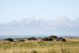 ϥ磻祵ݥȤPali O Kulani-Wind Farm-4