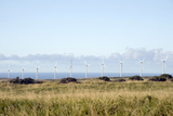 ϥ磻祵ݥȤPali O Kulani-Wind Farm-1