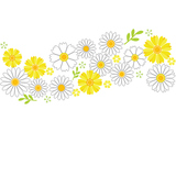Flower background, gerbera and daisy