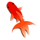 ������ơ�������������