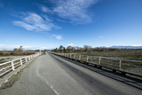 ֥åOrari Bridge,South Island New Zealand