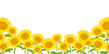 �Ҥޤ�ꡡ�ơ��֡��ط�