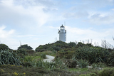 ץե륦ɤ桦Cape Foulwind,South New Zealand