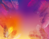 background of Palm leaves