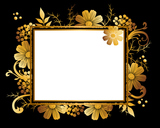 golden frame background of cosmoses