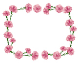 rectangular frame of carnations illustration