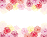 background illustration of colorful carnations