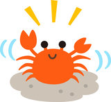 ���ξ���⤭���륫��