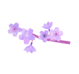 �ѡ��ץ륫�顼�ο���� ���Υ��åȥ��饹���Ǻ�