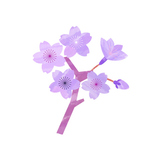 �ѡ��ץ륫�顼�ο���� ���Υ��åȥ��饹���Ǻ�